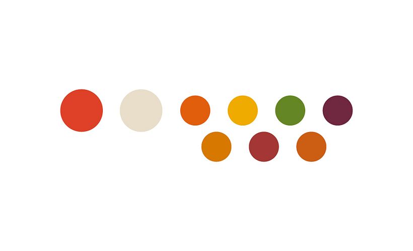 LifeFood Branding 3