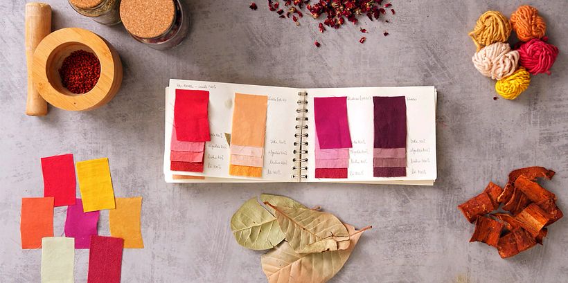 7 Corsi per Coltivare la Sostenibilità 9