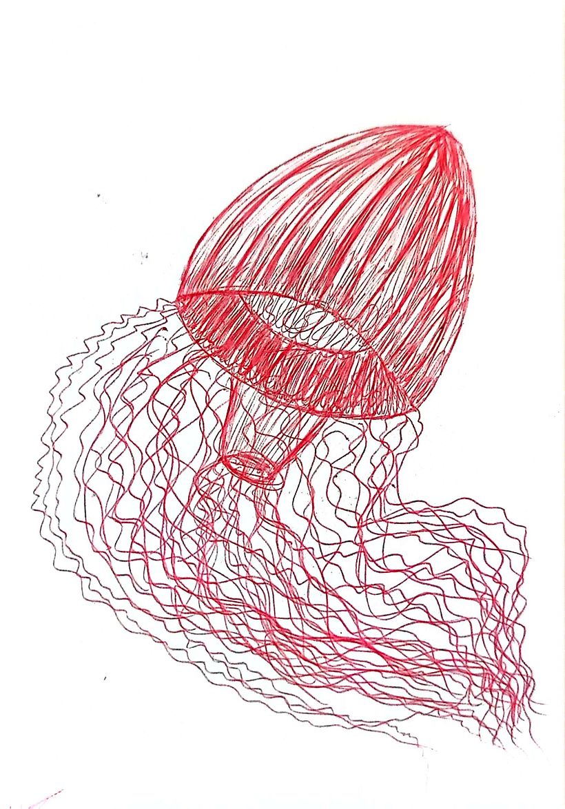 D.A. Dibujos con lineas -  Rysunek