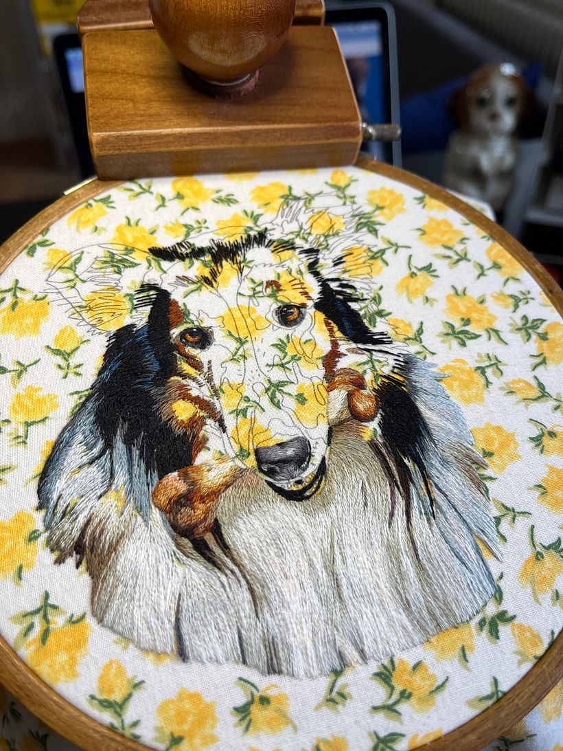 Lassie in Progress