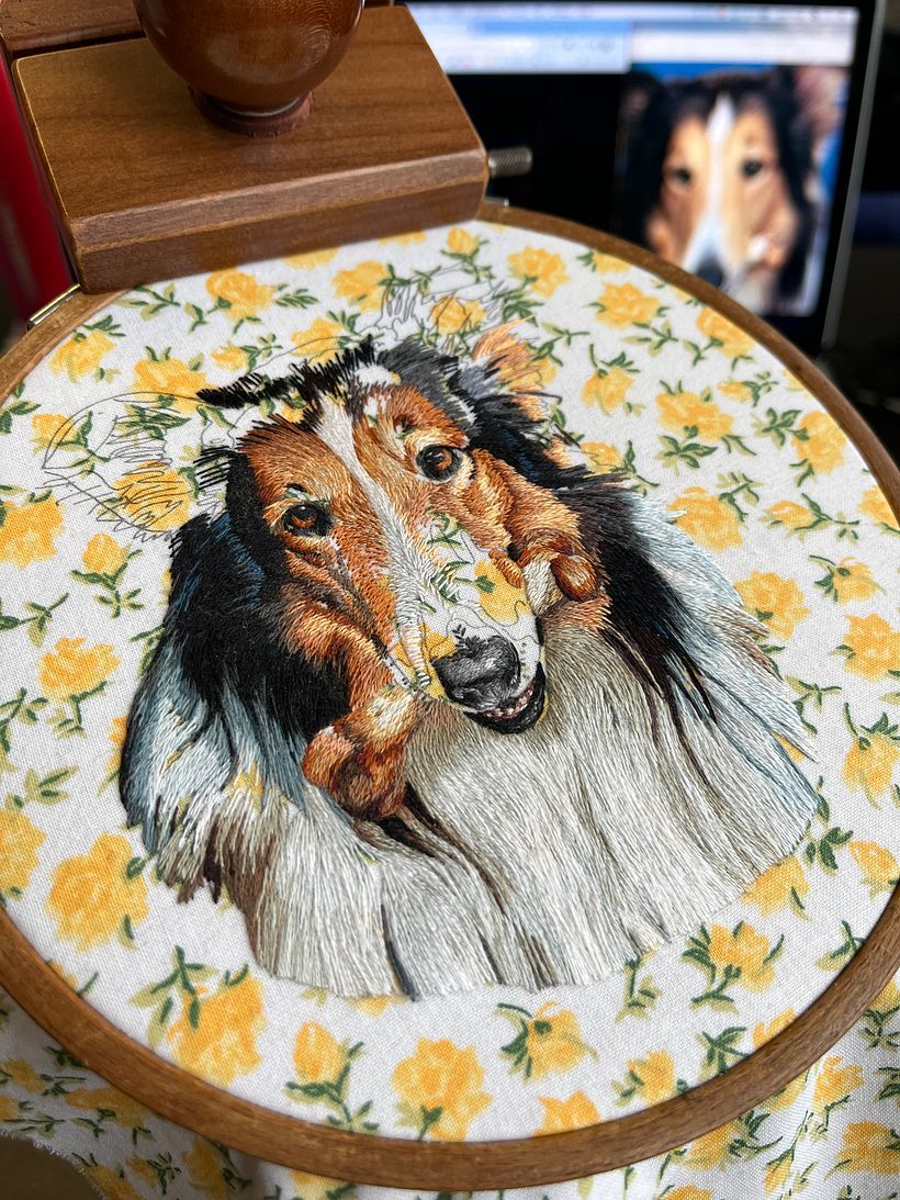Lassie in progress #2