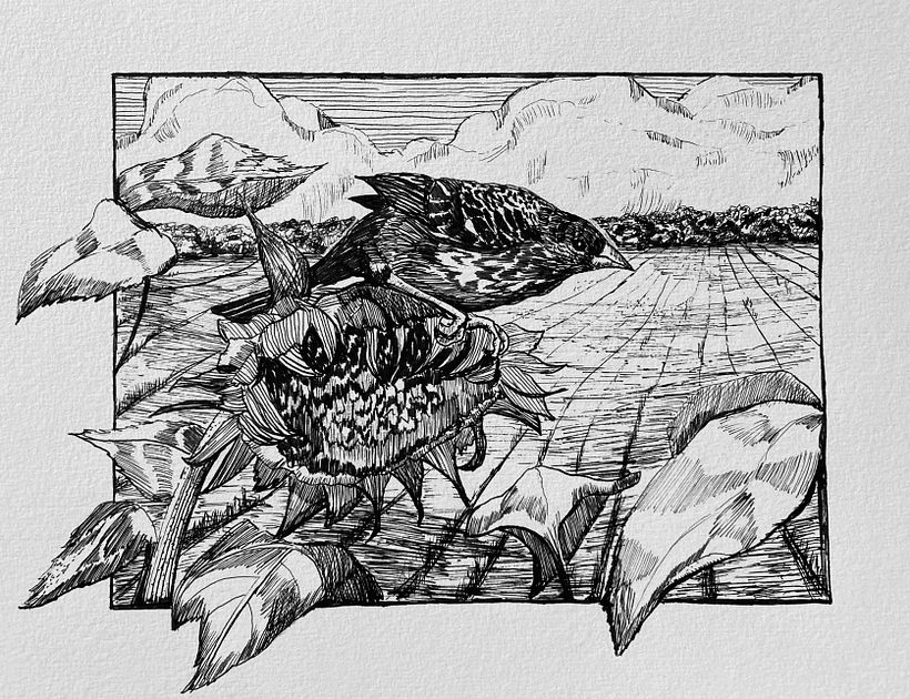 My project for course: Dip Pen and Ink Illustration: Capturing The Natural World 2