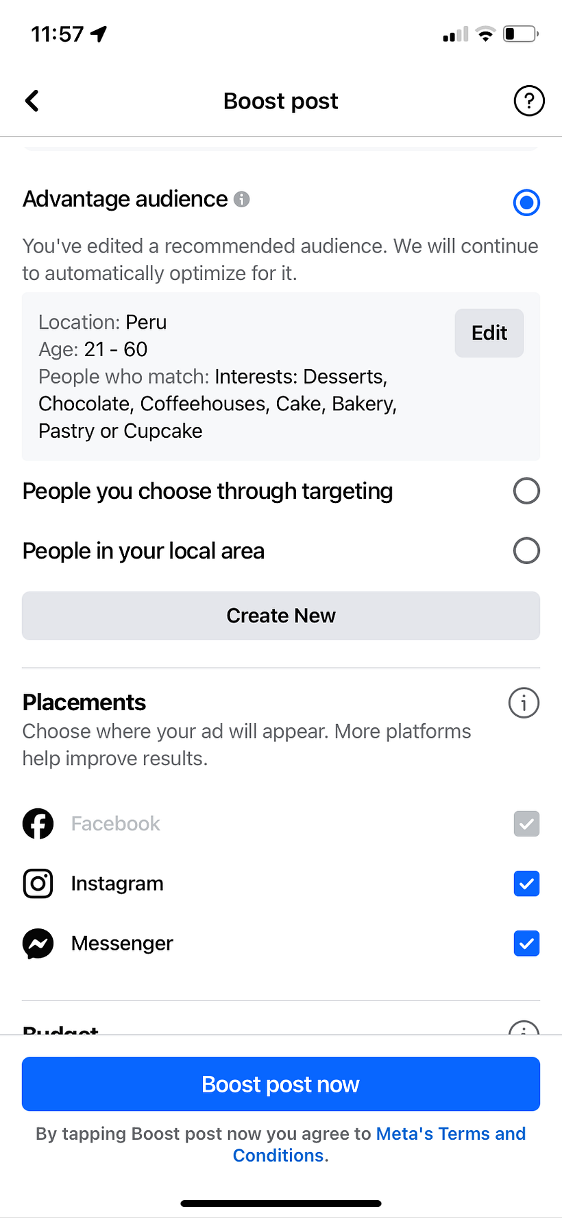 Mi proyecto del curso: Google Ads y Facebook Ads desde cero - Marketing