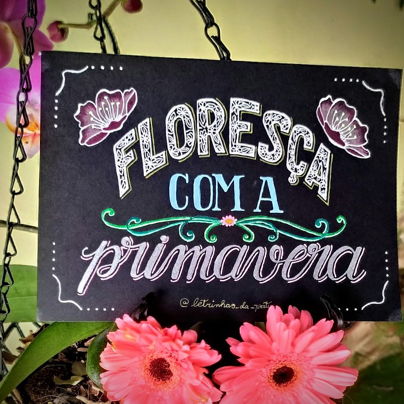 lettering  1