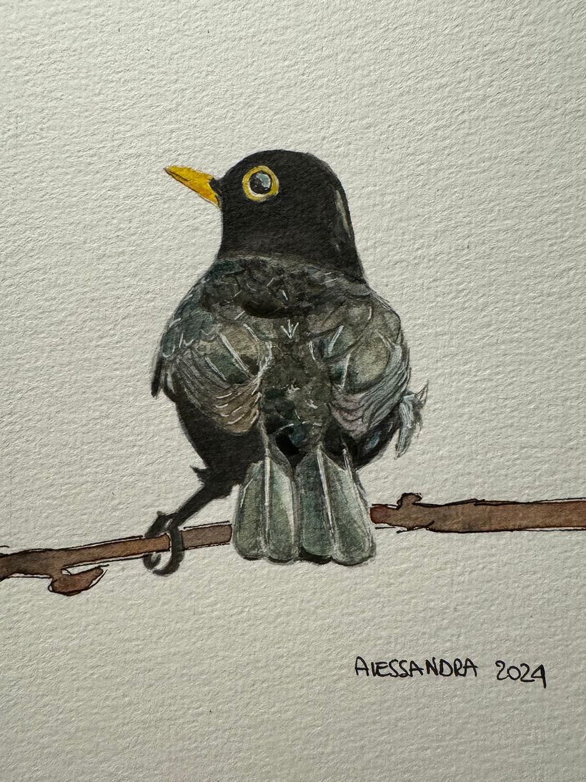 🐦‍⬛  1