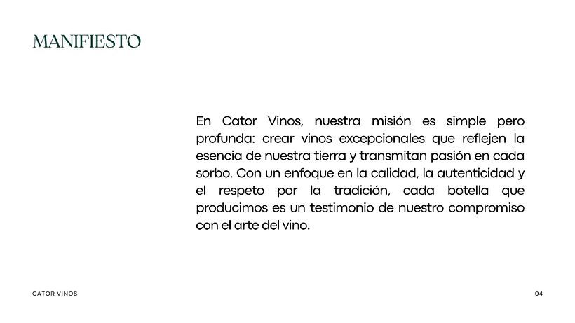 My project for course: CATOR 3