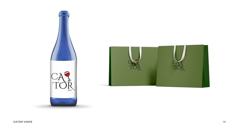 My project for course: CATOR 13