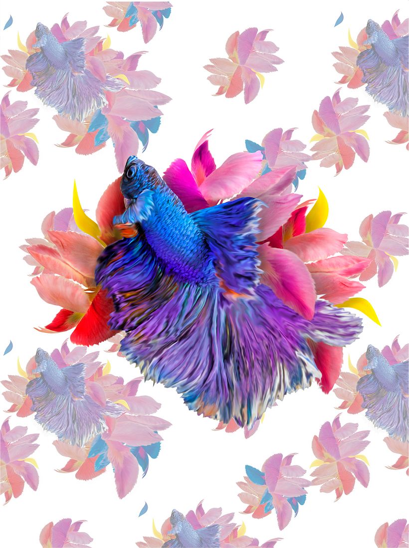 PARADISE COLORS