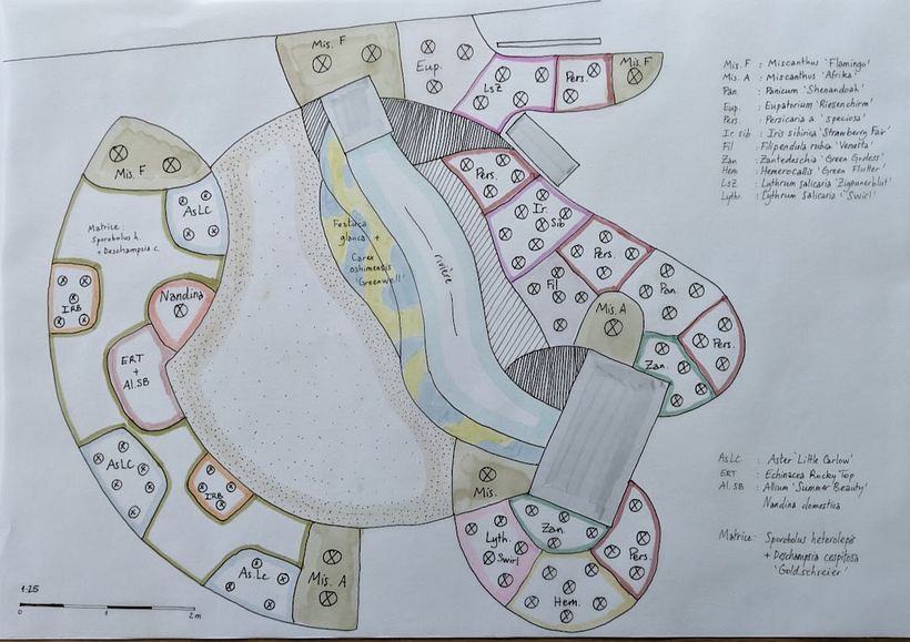Plan de plantation