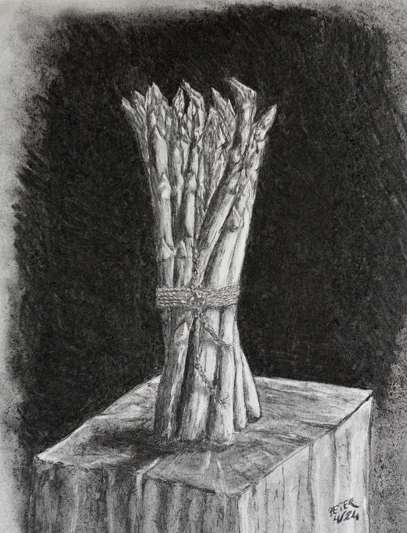 charcoal and oilpaint pictures 8