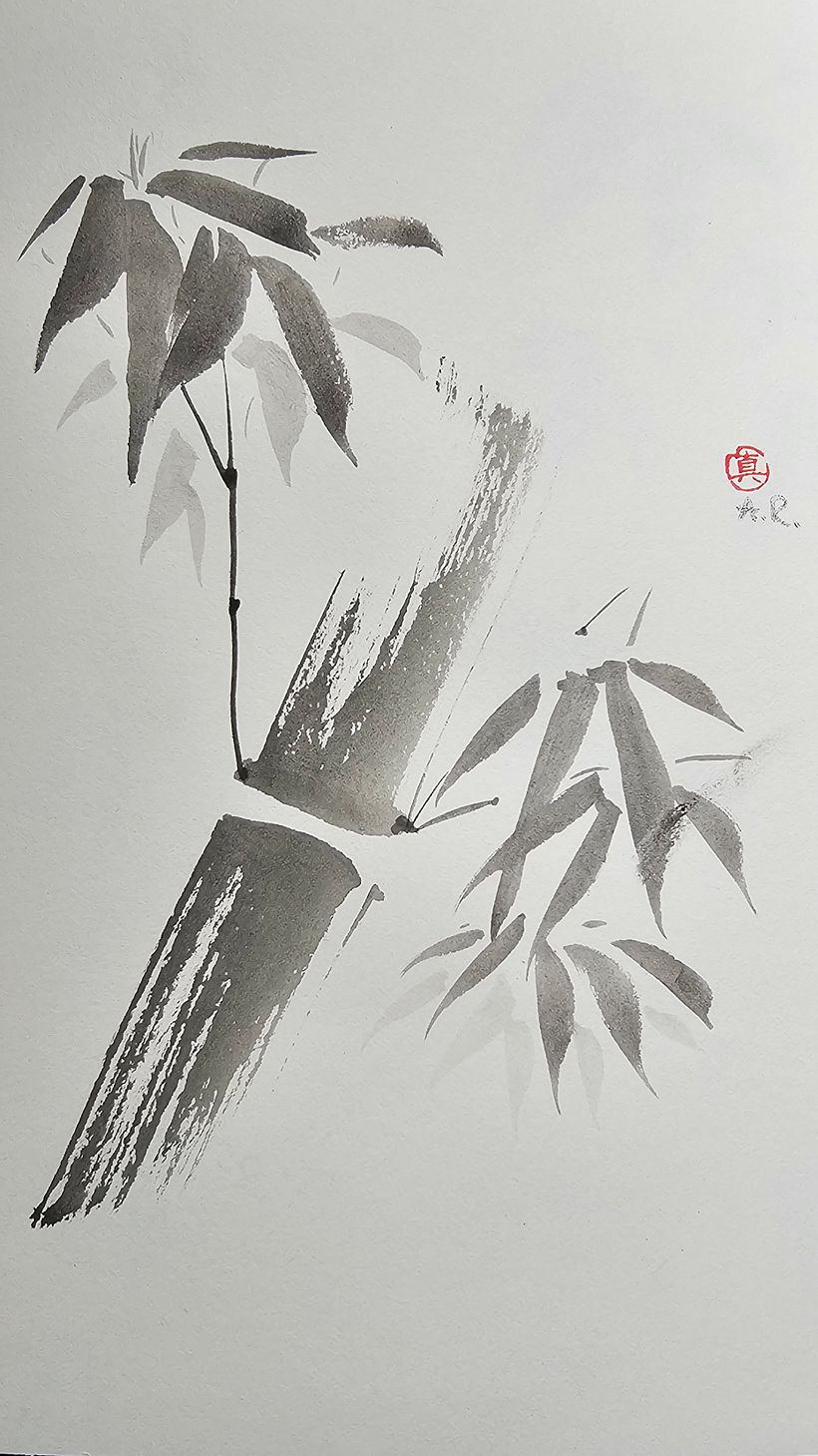Bamboo_1