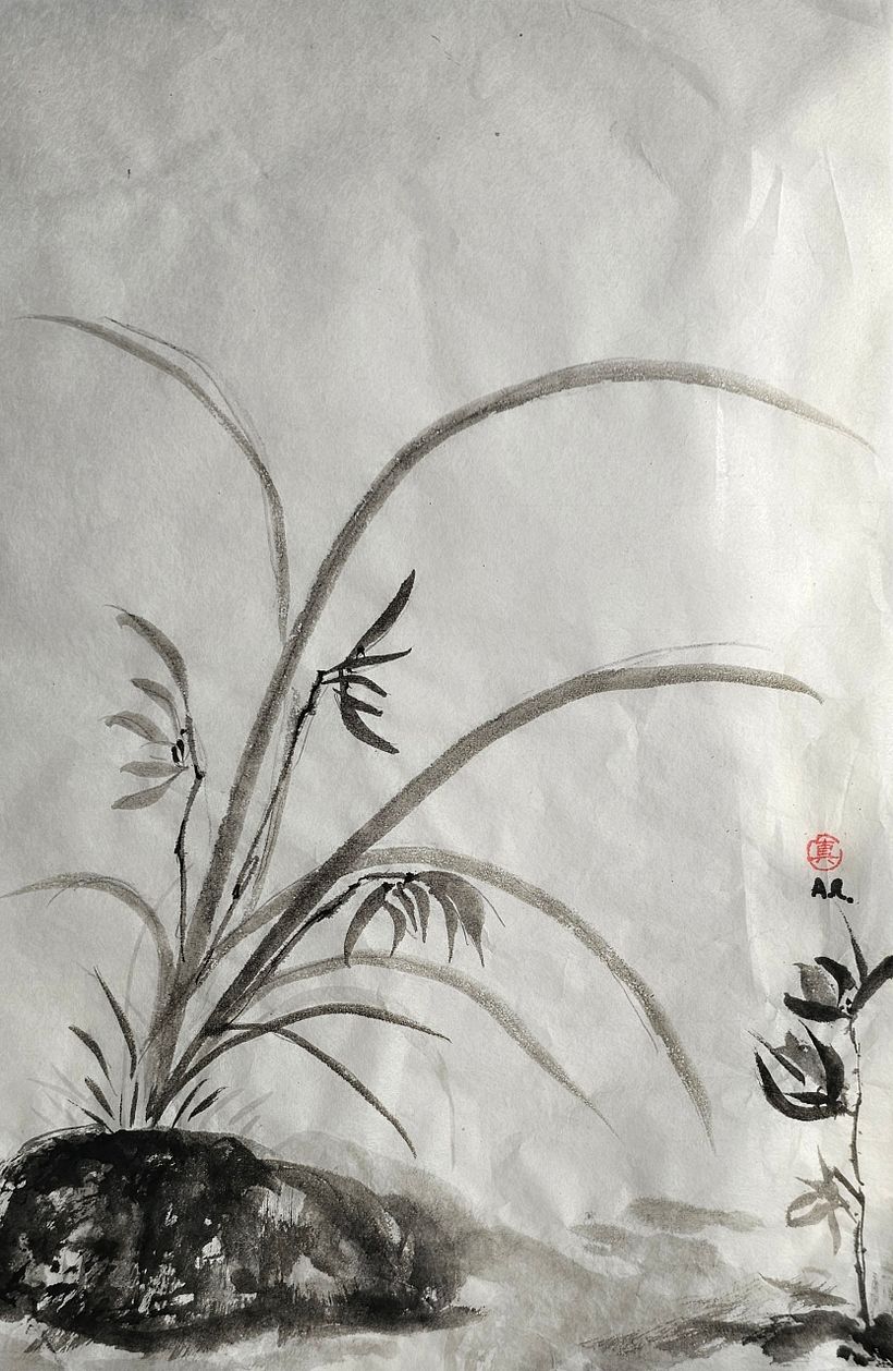 Orchid