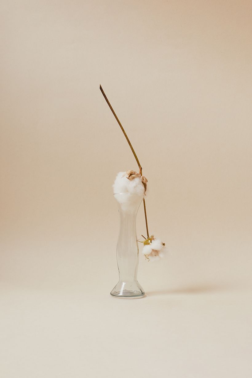 STILL LIFE 1