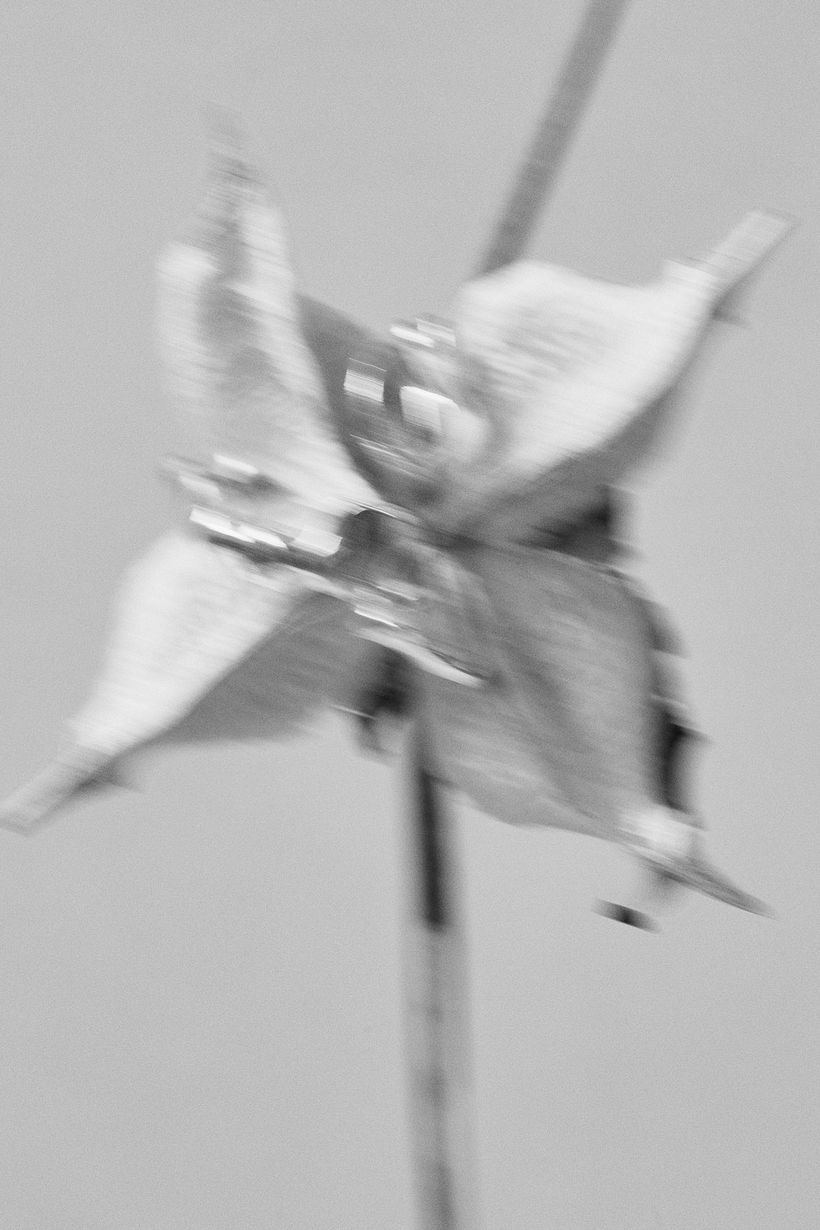 STILL LIFE 5