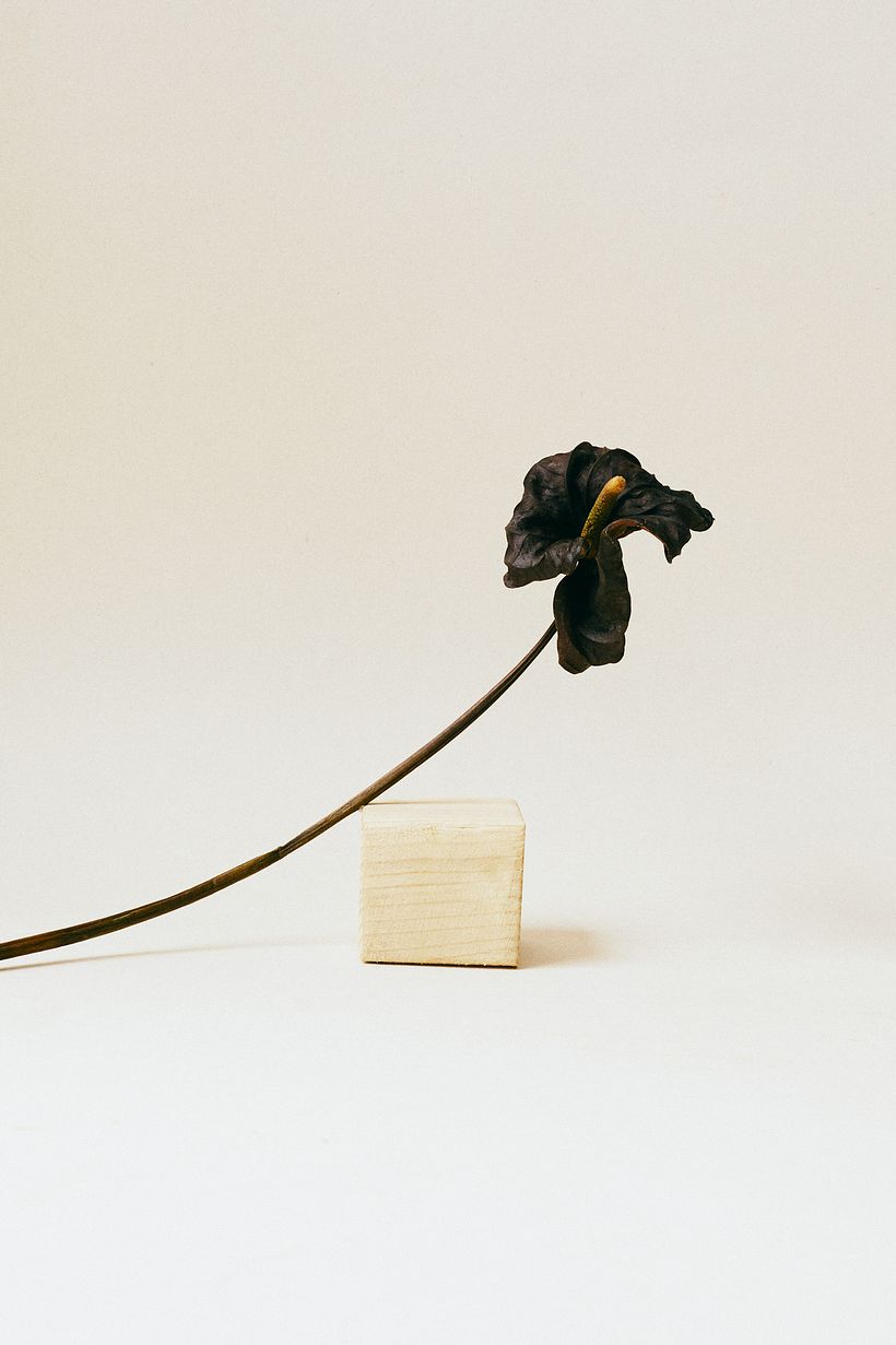 STILL LIFE 6