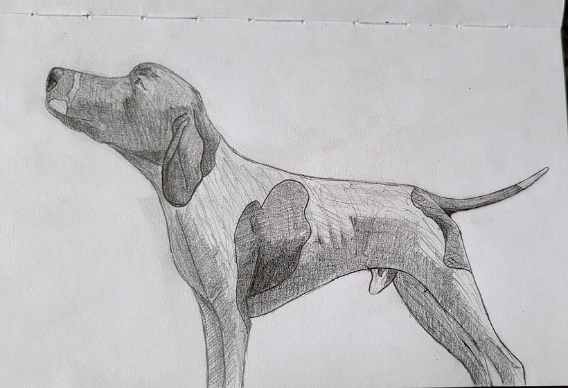 Meu projeto do curso: Sketching diário para melhorar suas técnicas de desenho 3