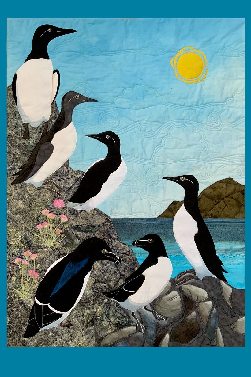 Razorbills and guillemots “Just hangin” 2