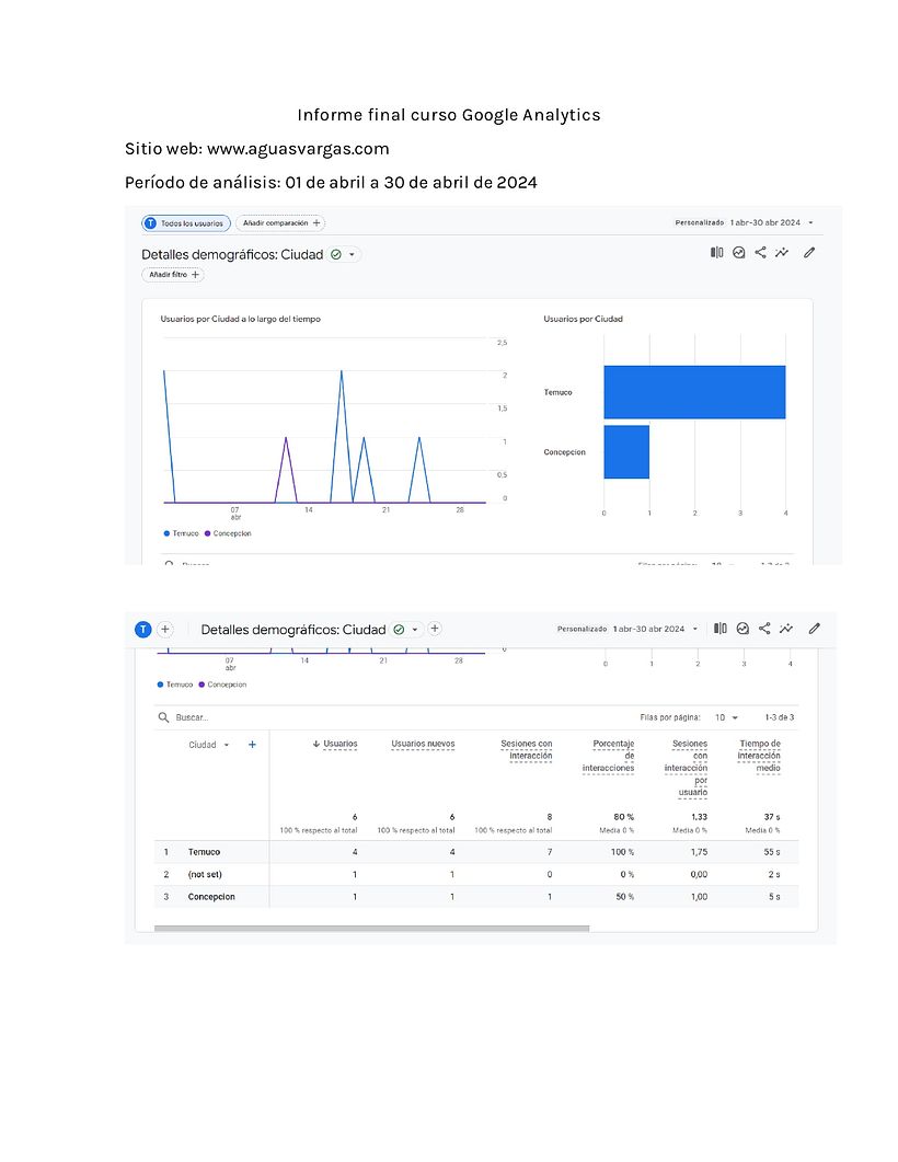 Mi proyecto del curso: Google Analytics: introducción al análisis de datos digitales 1
