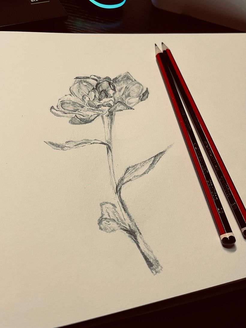 My project for course: Contemporary Botanical Illustration with Ink 7