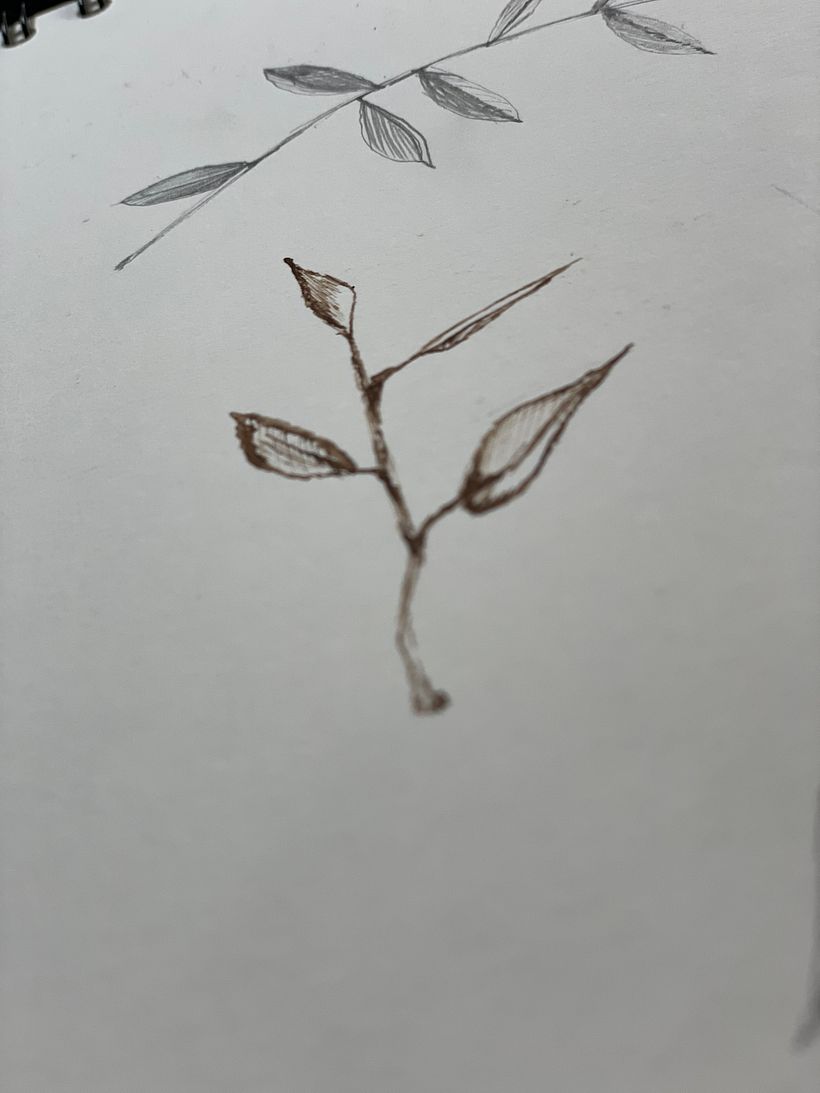 My project for course: Contemporary Botanical Illustration with Ink 9