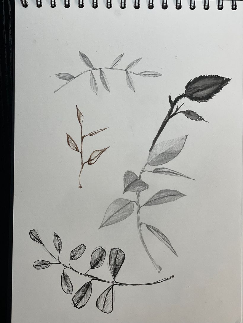 My project for course: Contemporary Botanical Illustration with Ink 9