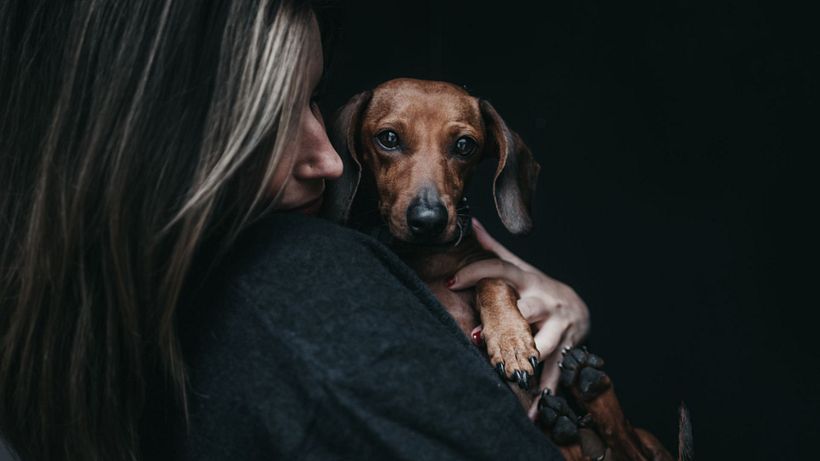 4 consejos para hacer mejores fotos a tu perro 1