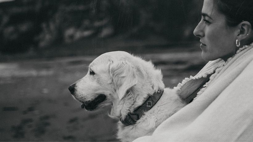 4 consejos para hacer mejores fotos a tu perro 3