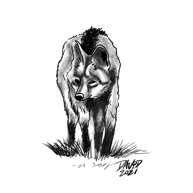 Aprendendo a desenhar melhor - Traditional illustration
