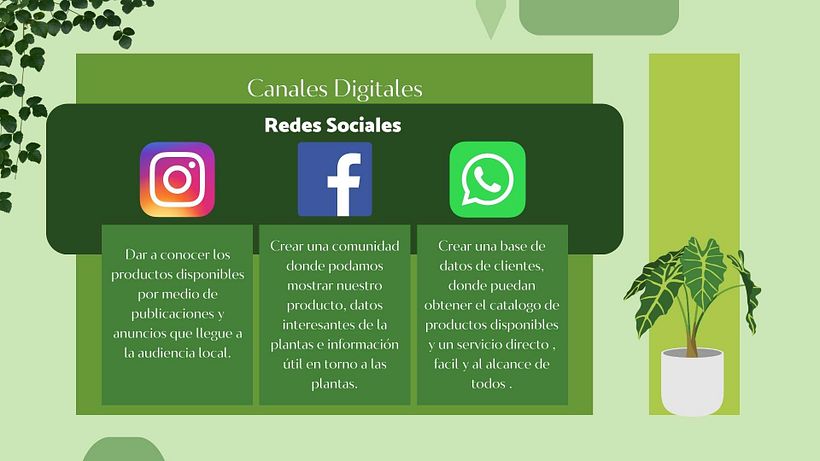 Aqui, en base a sus objectivos, recomende canales o opciones digitales viables para alcanzarlos.