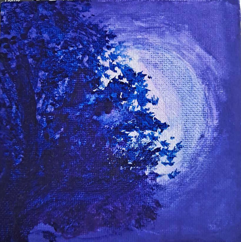 Midnight Moon