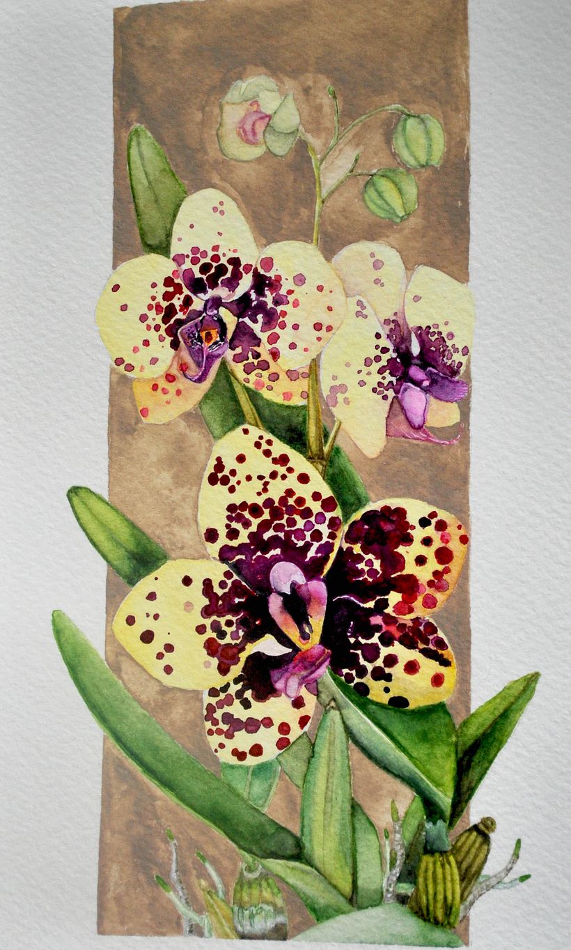 Meu projeto do curso: Ilustração botânica com aquarela 1