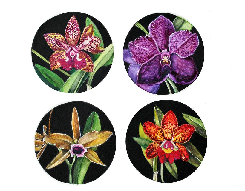 Meu projeto do curso: Ilustração botânica com aquarela 2