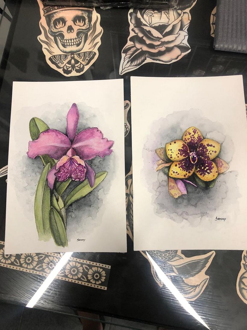 Meu projeto do curso: Ilustração botânica com aquarela 4