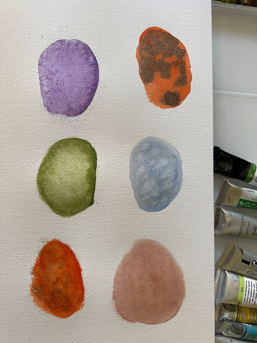 Mi proyecto del curso: Ilustración de elementos naturales en acuarela 4