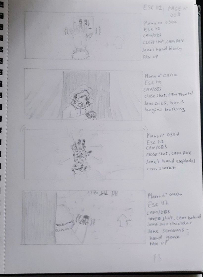My project for course: Illustration of Storyboards for Cinema and Advertising 4