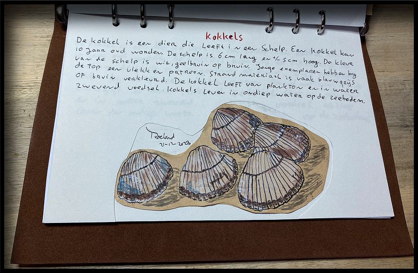 Mijn project van de cursus: Creëer een reisboekje met illustraties van de natuur 4