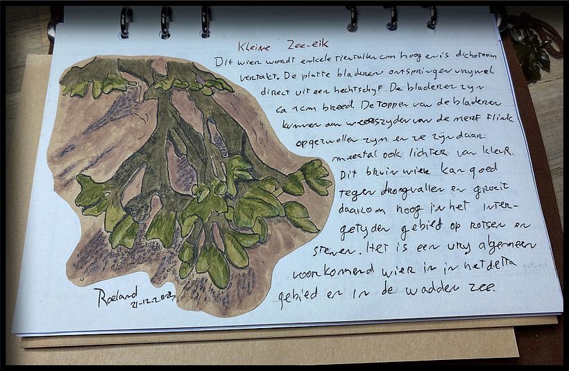Mijn project van de cursus: Creëer een reisboekje met illustraties van de natuur 5
