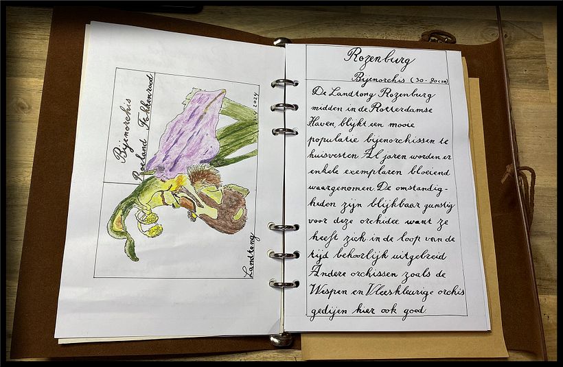 Mijn project van de cursus: Creëer een reisboekje met illustraties van de natuur 7