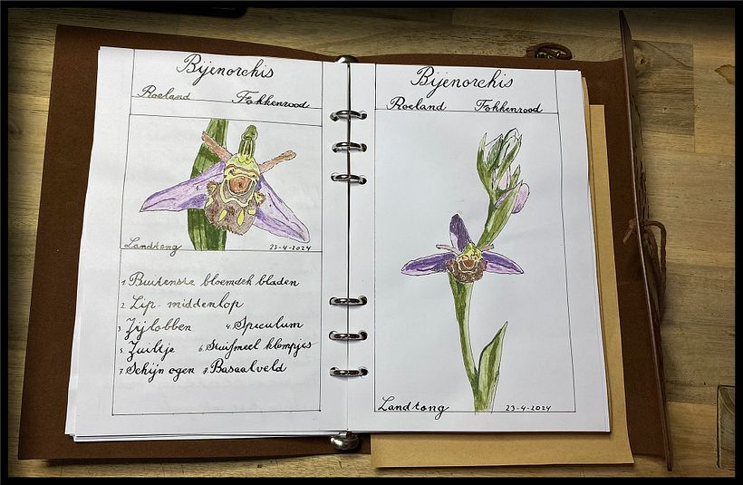 Mijn project van de cursus: Creëer een reisboekje met illustraties van de natuur 8