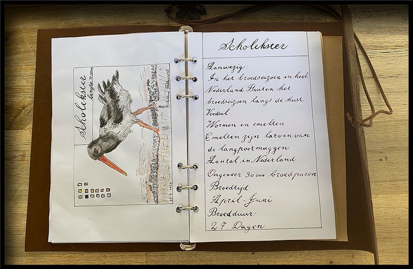 Mijn project van de cursus: Creëer een reisboekje met illustraties van de natuur 9