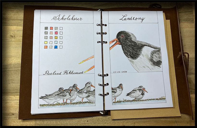 Mijn project van de cursus: Creëer een reisboekje met illustraties van de natuur 10