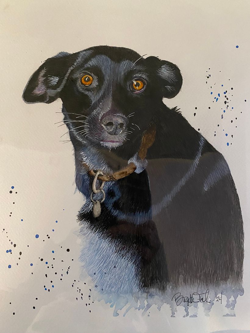 Pup anxiety 1