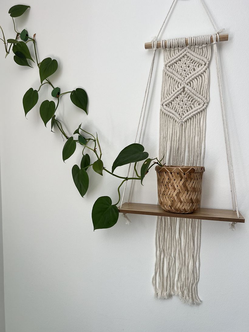 My project for course: Home Styling and Decoration with Plants 9
