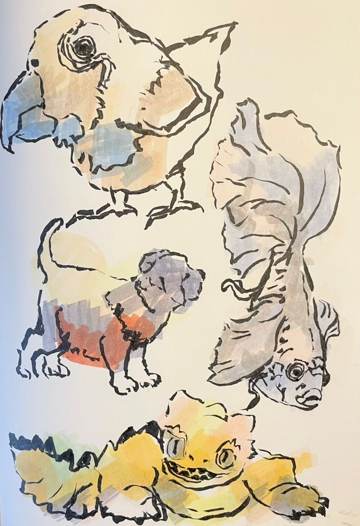 Day 6  SHAPES
