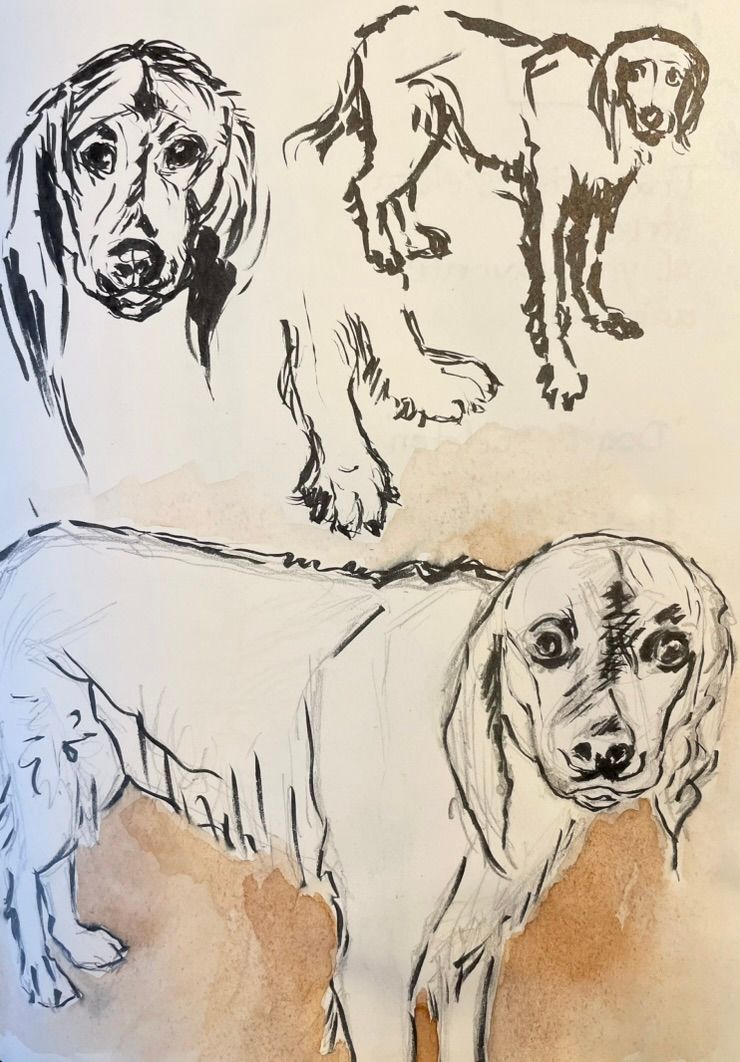 Day 17  GINO (draw your favorite animal)