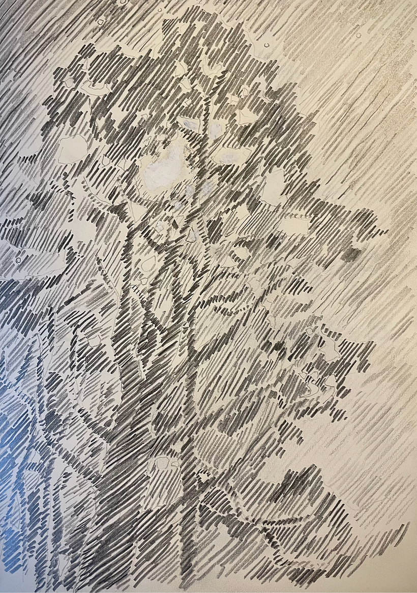 Day 22  TO THE MOON AND BACK  (draw a picture for someone you love)