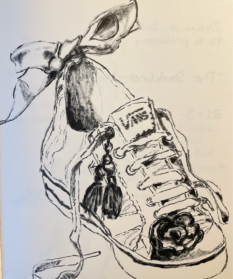 Day 14  VANS