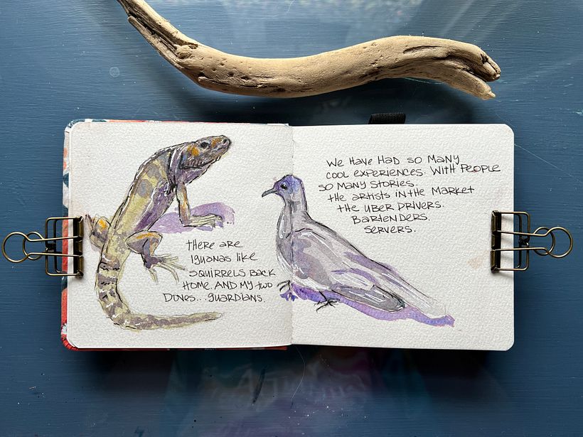Mexico Travel Journal 4