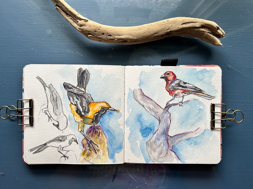 Mexico Travel Journal 15