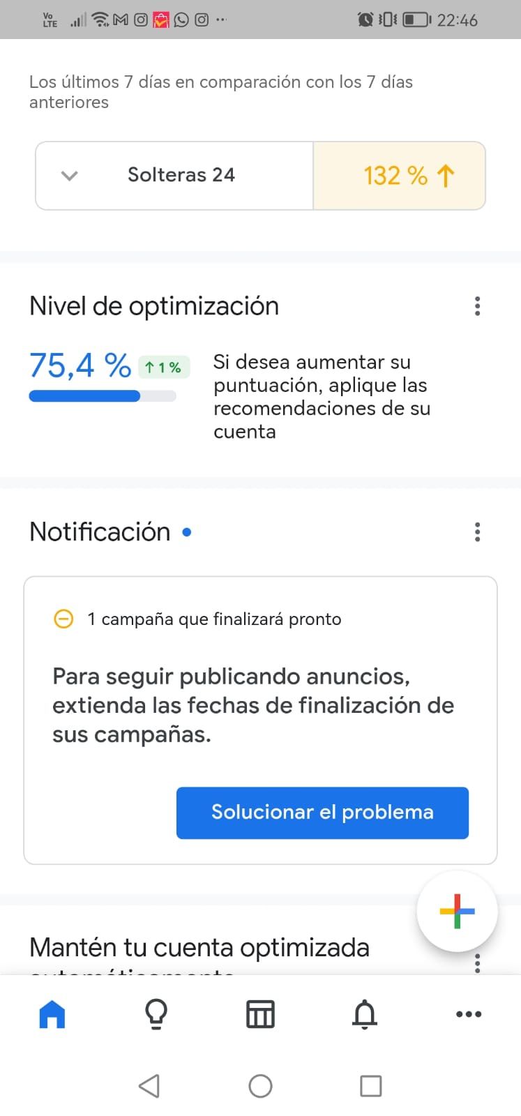 Mi proyecto del curso: Google, Facebook e Instagram Ads para optimizar tus resultados 4